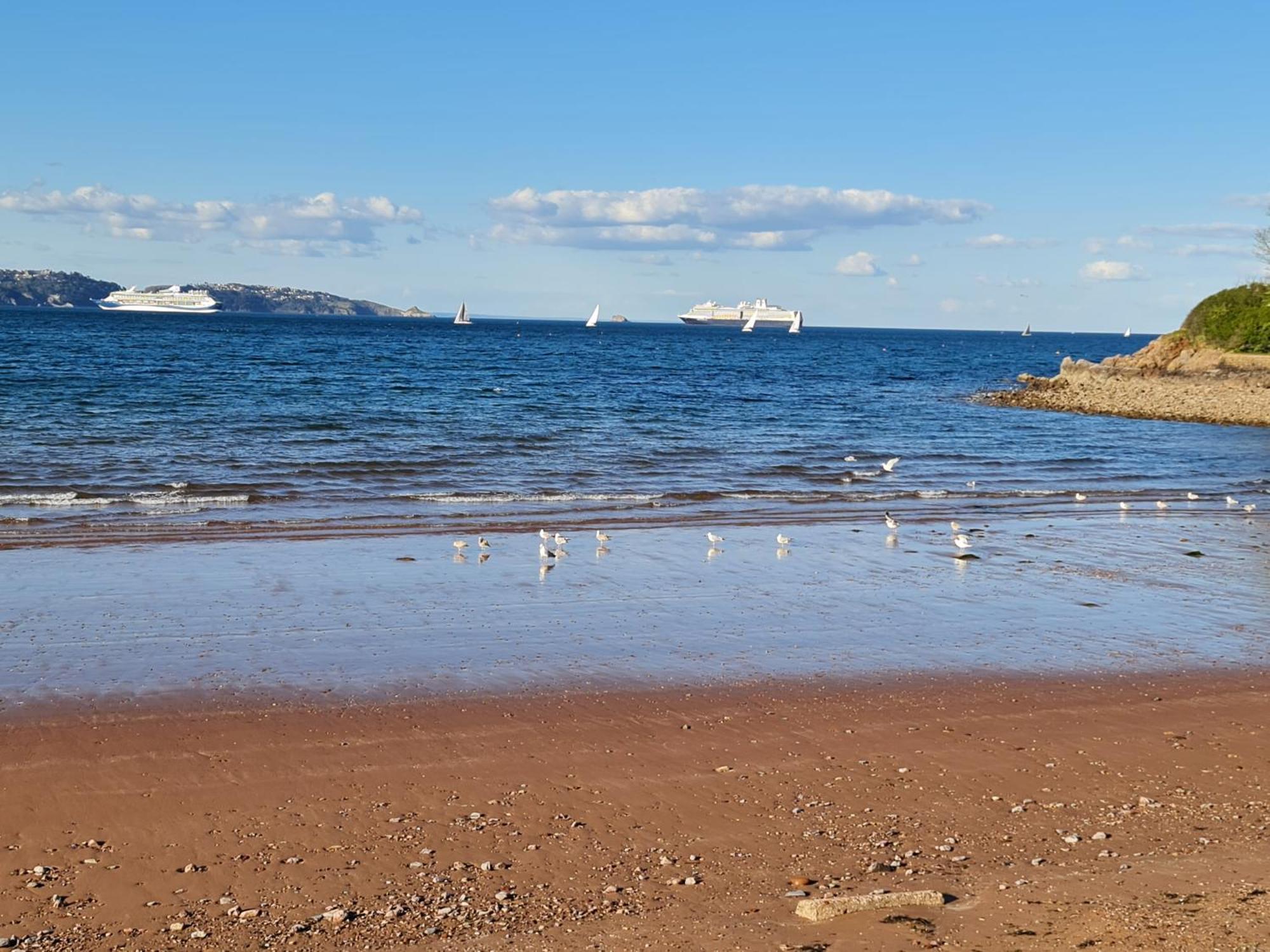 Seaspot Is A 1 Bed Annex Ground Floor Apartment At Stunning Broadsands Beach Nr Brixham! Churston Ferrers Exterior foto